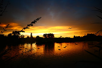 Dramatic Sunset Silhouette Over Lake with Ducks