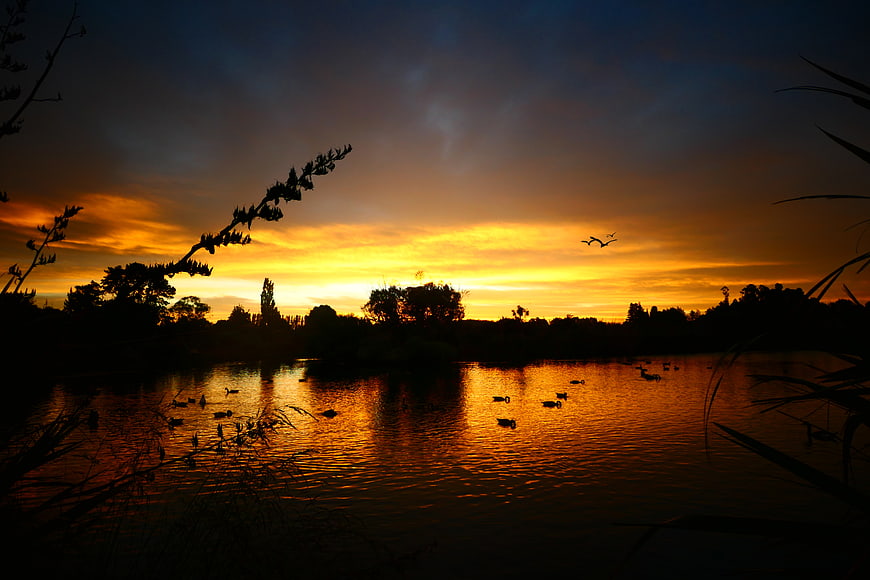 Dramatic Sunset Silhouette Over Lake with Ducks