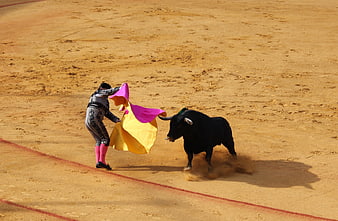 Bullfighter with colorful cape facing black bull in sandy arena