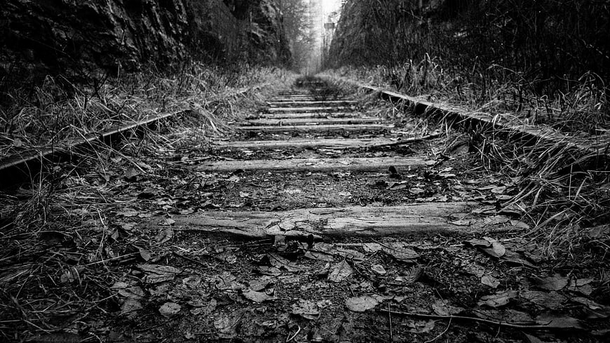 Abandoned railway tracks in a dark forest