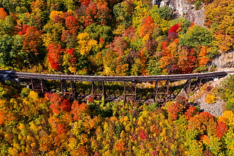 Aerial View of Train Trestle Bridge in Vibrant Autumn Forest