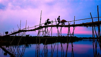 Silhouettes of people crossing a bamboo bridge at sunset