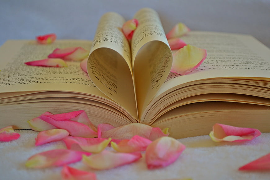Open book with pages folded into a heart shape surrounded by pink rose petals