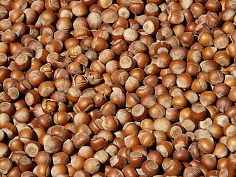 Close-up texture of roasted hazelnuts in shell