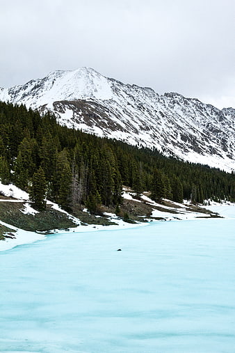 Frozen Alpine Lake with Snowy Mountain and Pine Forest