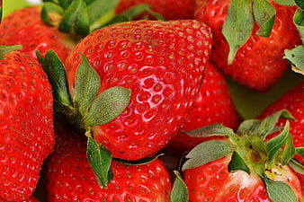 Close-up of fresh ripe red strawberries with green leaves