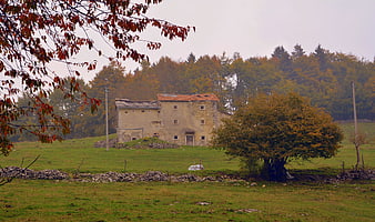Old stone farmhouse in autumn landscape with red leaves