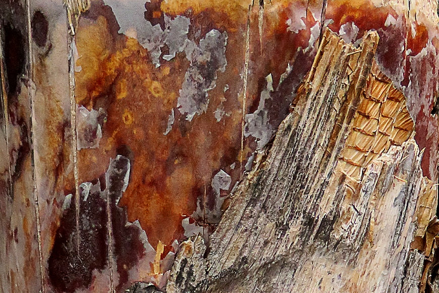 Close-up of distressed wall with peeling paint and rust textures
