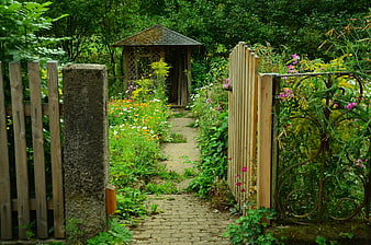 Rustic Garden Path Leading to Wooden Gazebo