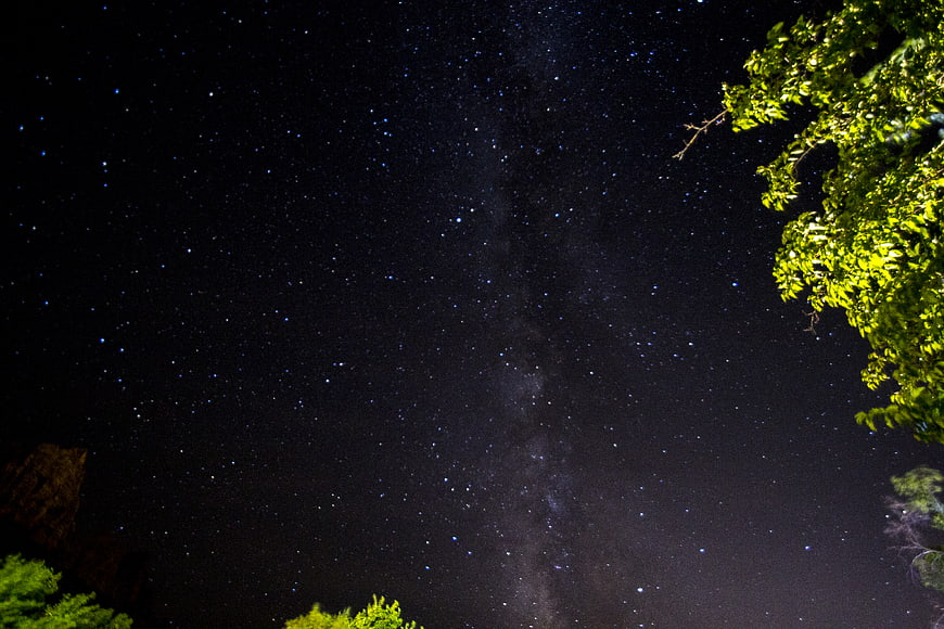 Milky Way Galaxy Over Trees at Night