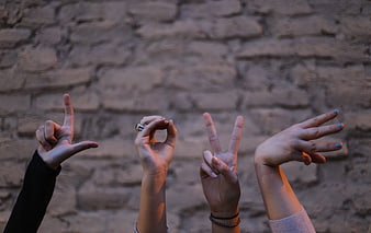 Four Hands Making Peace and Love Signs Against Brick Wall