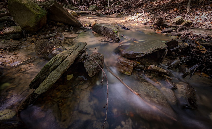 Serene forest stream flowing over mossy rocks and fallen wood