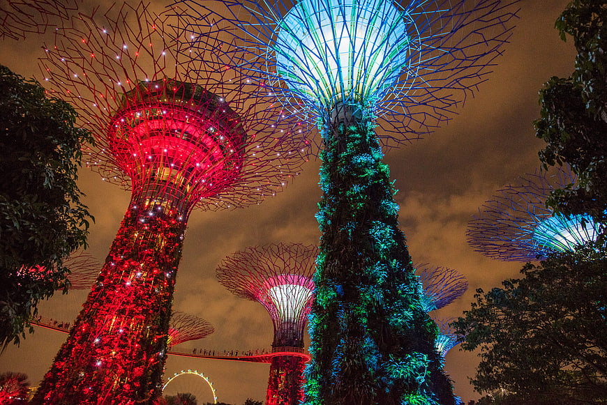 Gardens by the Bay Supertrees at Night in Singapore