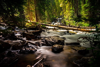 Long Exposure Forest Creek Flowing Over Rocks