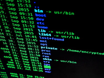 Linux Terminal Command Line Interface on Black Screen