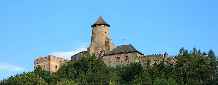 Medieval stone castle on a forested hill against blue sky