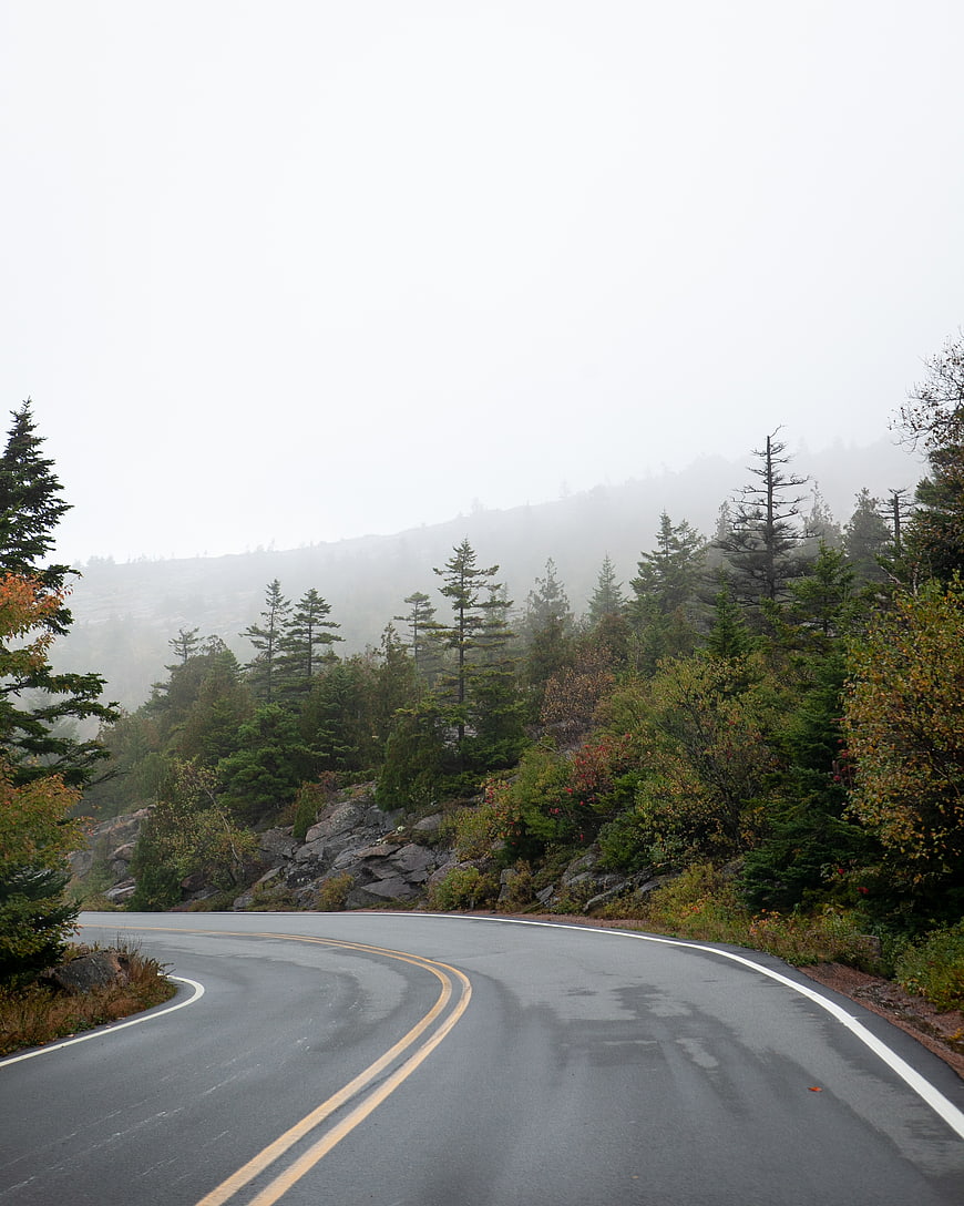 Winding Mountain Road Through Foggy Autumn Forest