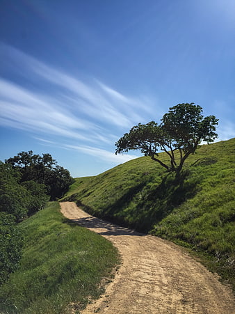 Winding dirt road through green hills under blue sky
