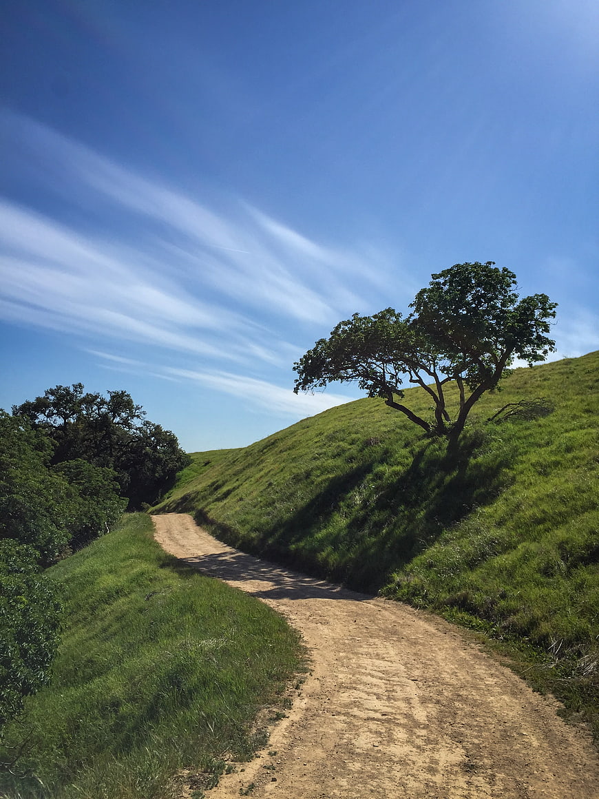 Winding dirt road through green hills under blue sky