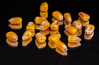 Yellow Corn Kernels on Black Reflective Surface