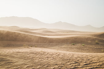 Sandy desert dunes with mountains and blowing wind
