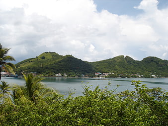 Tropical coastal landscape with green hills and palm trees