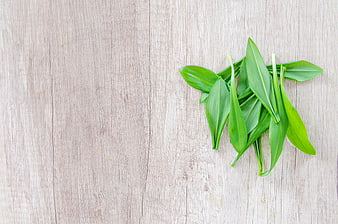 Fresh Wild Garlic Leaves on Light Wood Surface