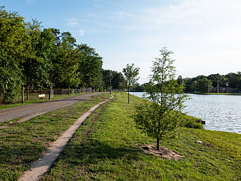 Paved Path Along Lake in Green Park