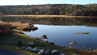 Serene Autumn Pond with Forest Reflections and Rocky Shore