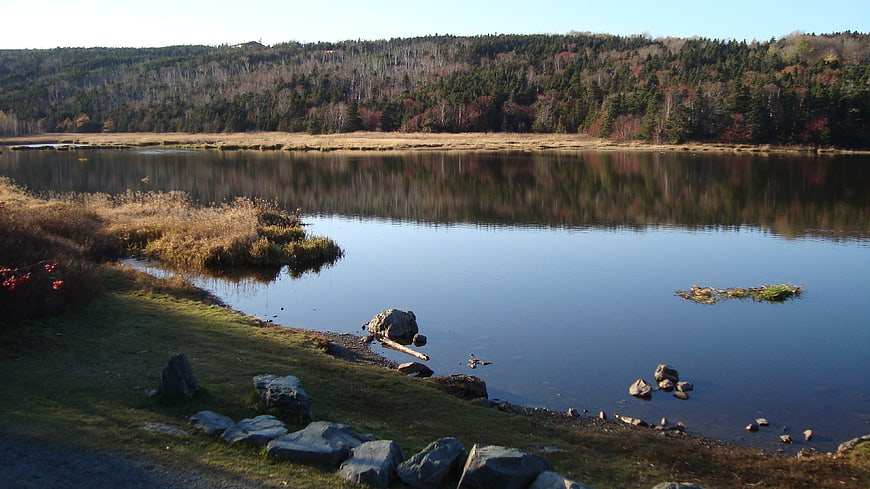 Serene Autumn Pond with Forest Reflections and Rocky Shore
