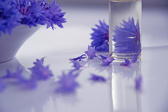 Blue Cornflowers and Glass Bottle on White Surface