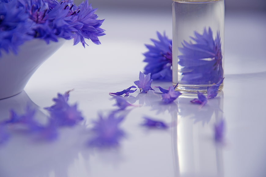 Blue Cornflowers and Glass Bottle on White Surface