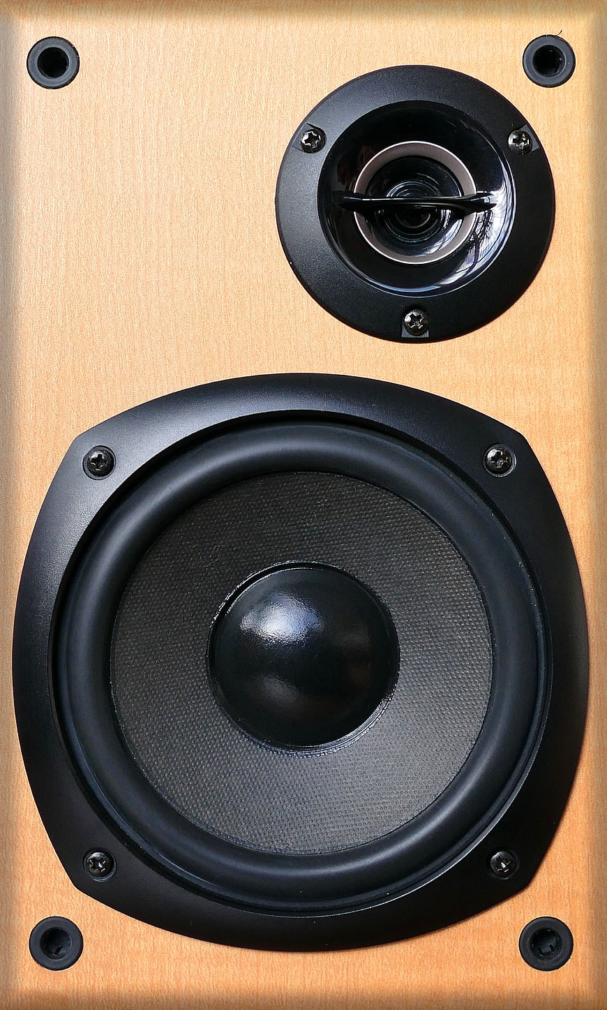 Close-up of Wooden Audio Speaker with Tweeter and Woofer