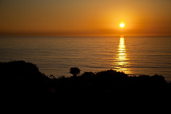 Golden Sunset Over Calm Ocean with Silhouette Foreground