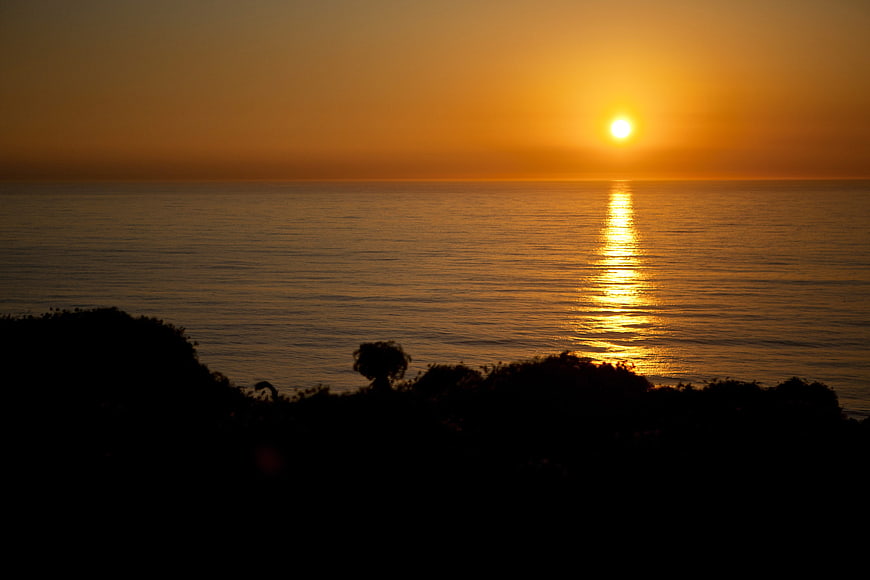 Golden Sunset Over Calm Ocean with Silhouette Foreground