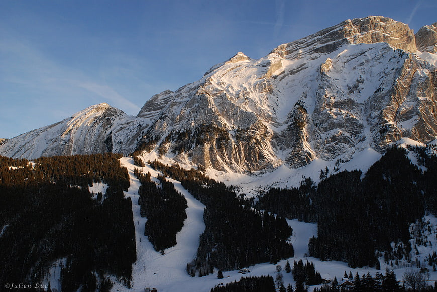 Snowy Mountain Peaks with Forested Slopes in Winter