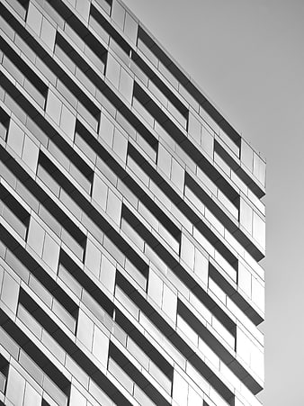 Modern Black and White Architectural Facade Pattern