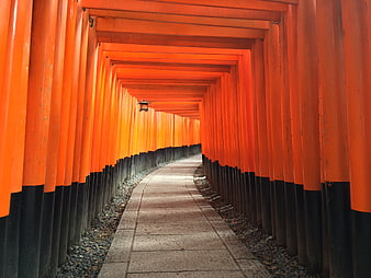 Vermilion Torii Gate Tunnel Pathway at Fushimi Inari Shrine