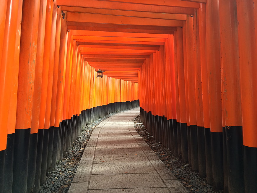 Vermilion Torii Gate Tunnel Pathway at Fushimi Inari Shrine