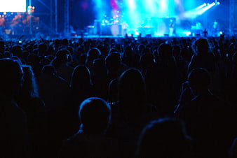 Silhouetted Crowd At Nighttime Concert With Blue Stage Lighting