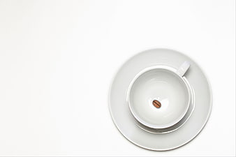 Empty white coffee cup with single bean on saucer, top view