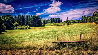 Lush Green Meadow with Wooden Bench Under Dramatic Blue Sky