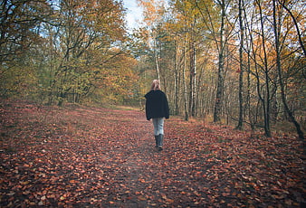 Woman Walking Away on Autumn Forest Path