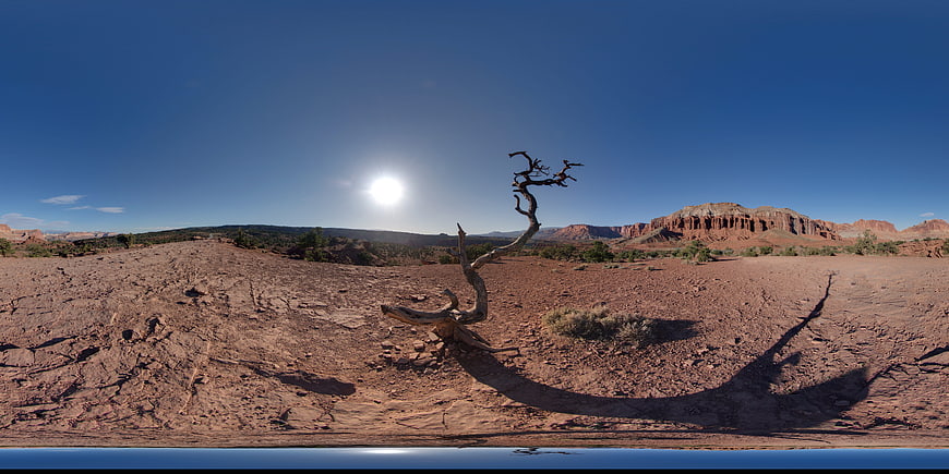 Panoramic desert landscape with dead tree and red rock formations