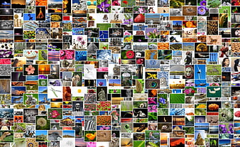 Colorful photo collage mosaic of diverse images