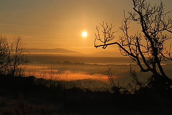 Golden Sunrise Over Misty Valley with Silhouetted Trees