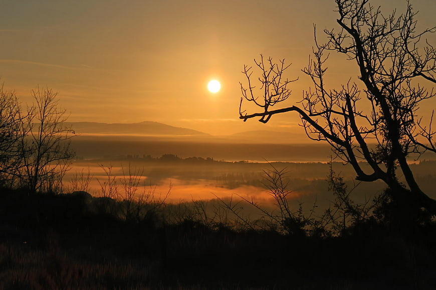 Golden Sunrise Over Misty Valley with Silhouetted Trees
