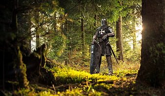 Medieval Knight in Armor Standing in Sunlit Forest