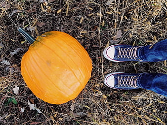 Top-down view of pumpkin and blue sneakers on dry grass