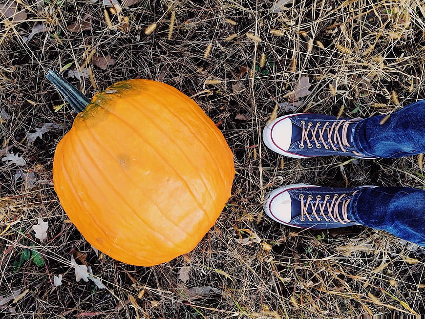 Top-down view of pumpkin and blue sneakers on dry grass